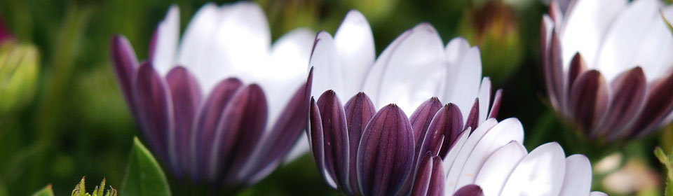 免费用虚拟号码发短信