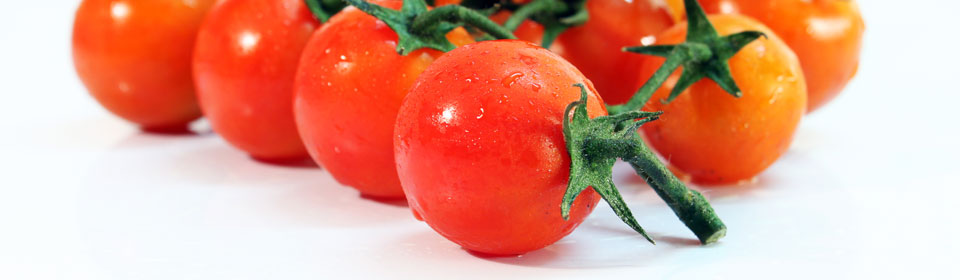 在线轰炸机网页版