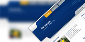 虚拟号码外呼软件